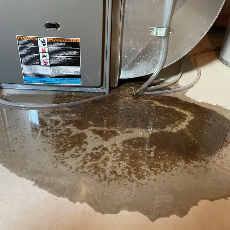 Appliance Leak Cleanup in Duenweg, MO